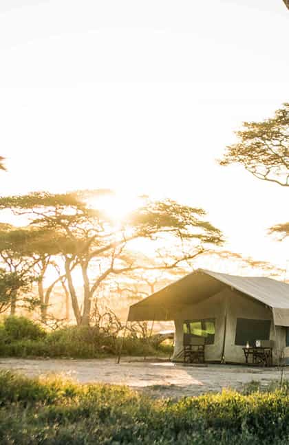 Olaado Ndutu Camp, Serengeti | Timbuktu Travel