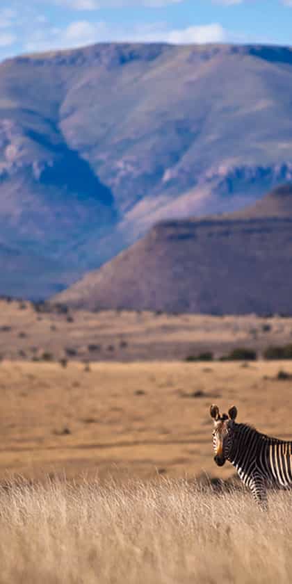 Stemar B&B, Eastern Cape | Timbuktu Travel