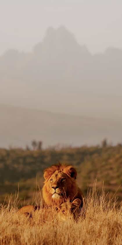 Laikipia