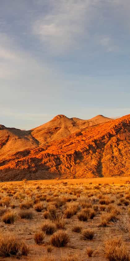 Kalahari Namibia