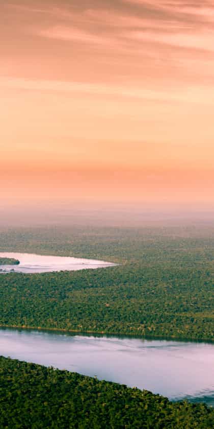 Esteros del Iberá