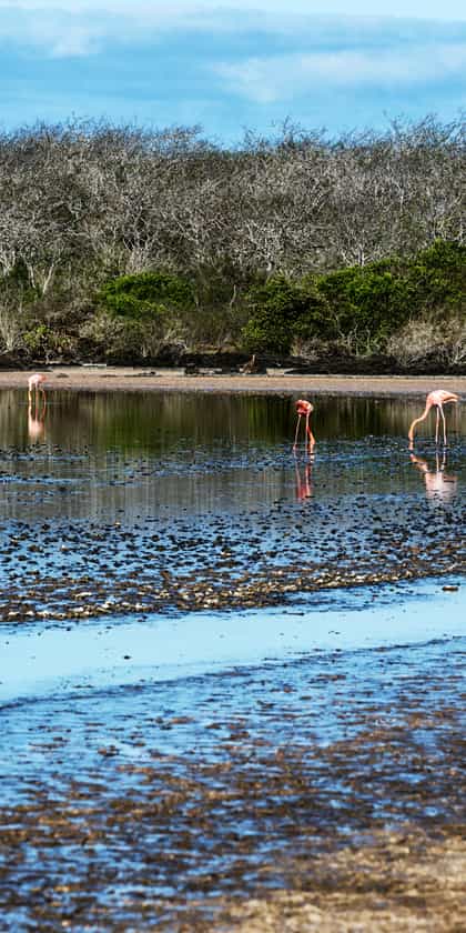 Floreana Island