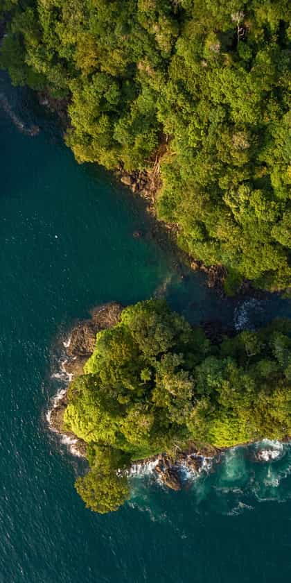 Pacific Coast of Colombia