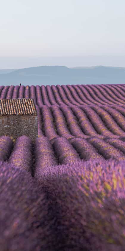 Provence