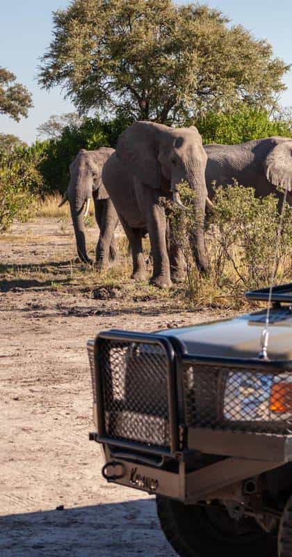 Mana River Camp, Mana Pools | Timbuktu Travel