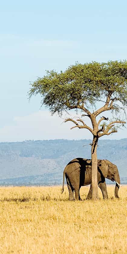 Lake Victoria