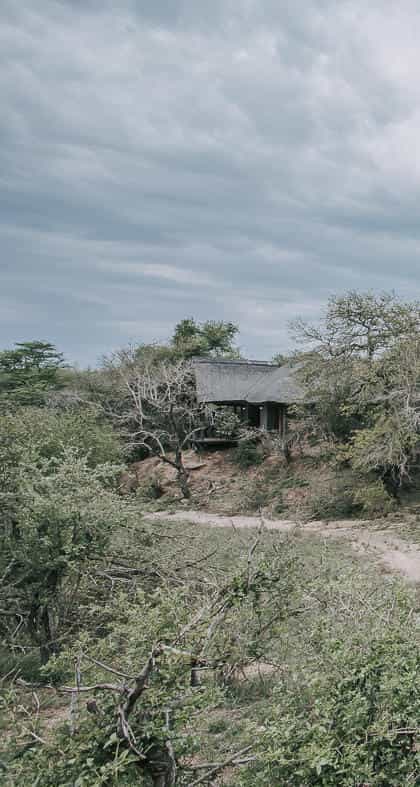 Waterbuck Lodge, Thornybush | Timbuktu Travel