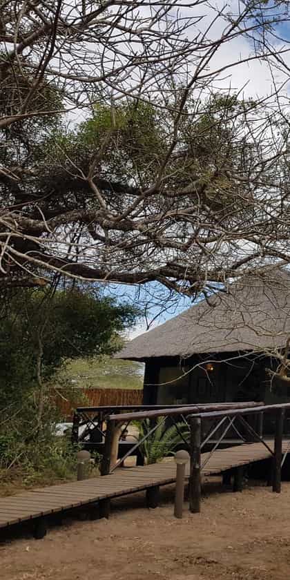 Makhasa Game Reserve and Lodge, Zululand & The Elephant Coast | Timbuktu Travel