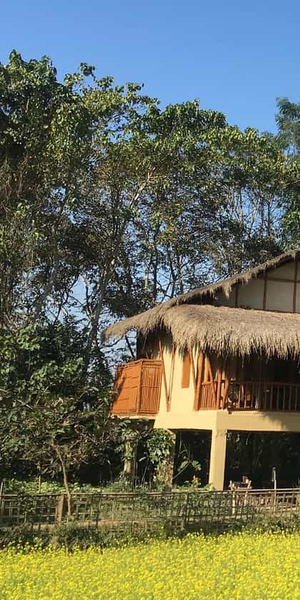 Diphlu River Lodge, Kazaringa National Park | Timbuktu Travel