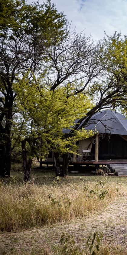 Serian's Serengeti Lamai, Serengeti | Timbuktu Travel