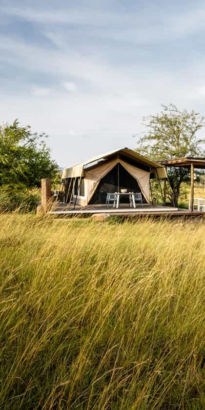 Singita Mara River Tented Camp, Serengeti | Timbuktu Travel