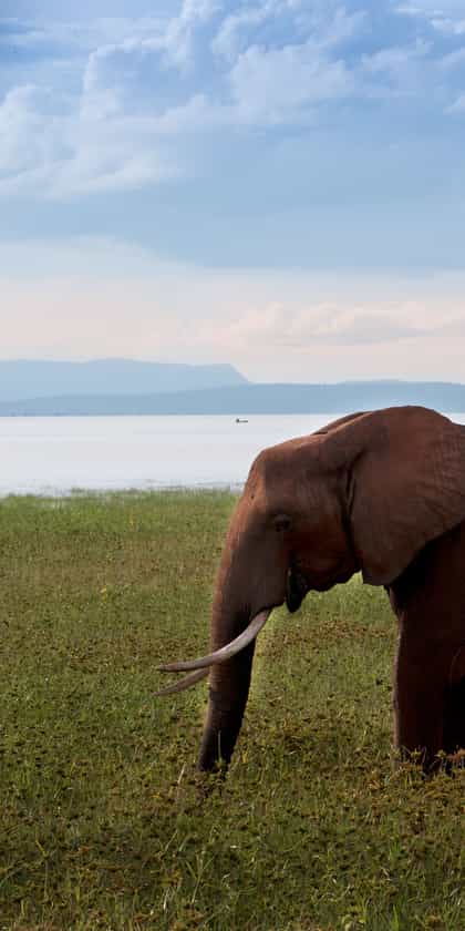 Lake Kariba