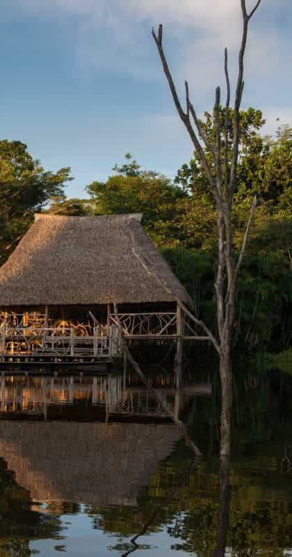 Sani Lodge, The Ecuadorian Amazon | Timbuktu Travel