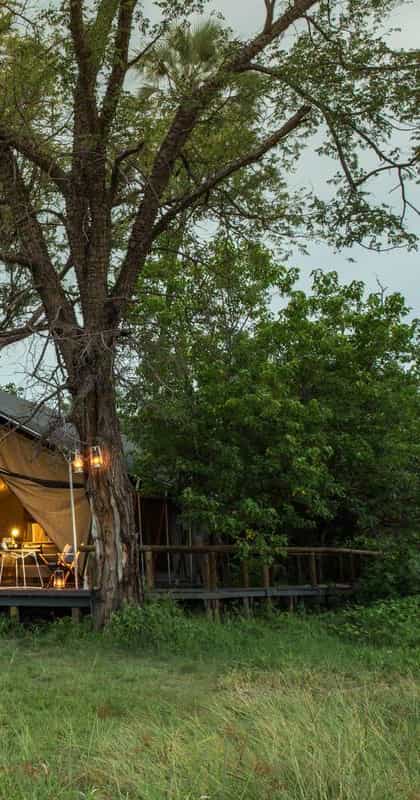 Gomoti Private Camp, Central Okavango | Timbuktu Travel