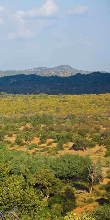 The Outpost, Northern Kruger | Timbuktu Travel