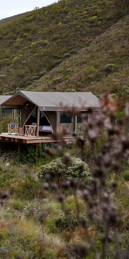 Gondwana Tented Eco Camp, Mossel Bay | Timbuktu Travel