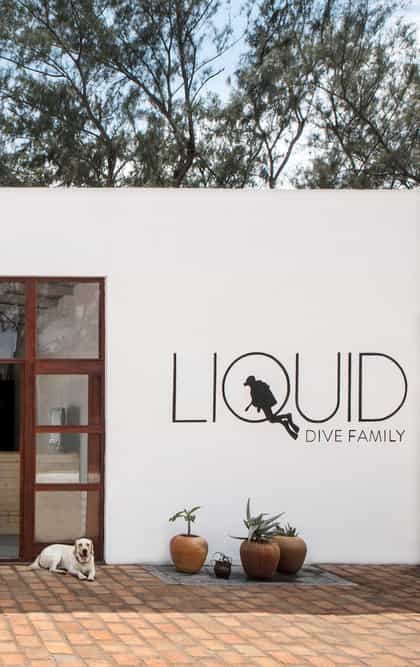 Liquid Dive Adventures, Inhambane | Timbuktu Travel