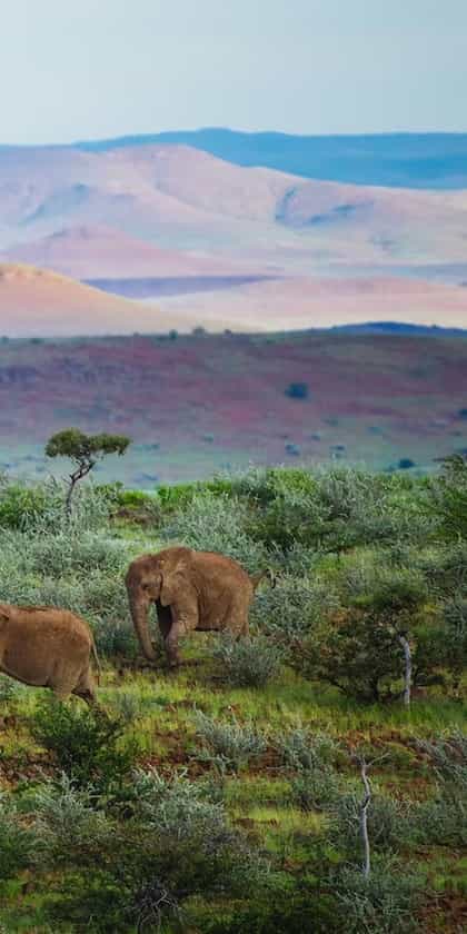 Palmwag Rhino Camp, Damaraland | Timbuktu Travel