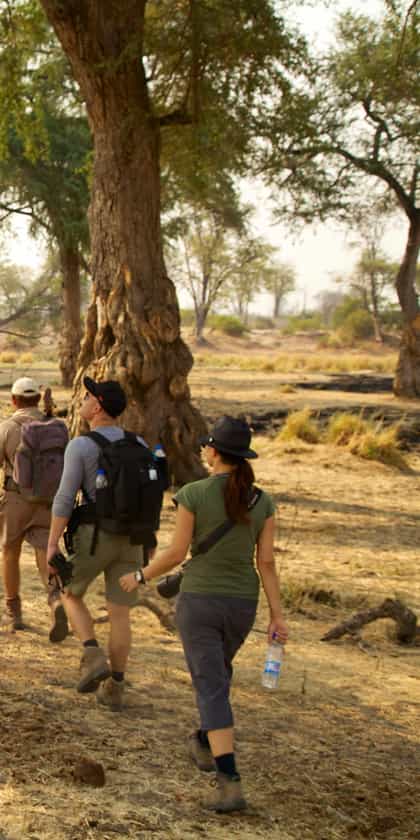 Mana Shoreline Walking, Mana Pools | Timbuktu Travel