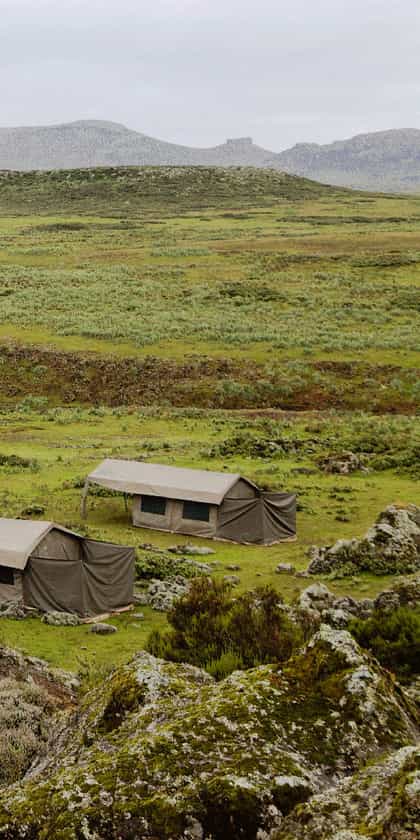 Bale Private Mobile Camp, Bale Mountains | Timbuktu Travel