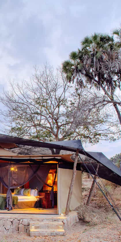 Roho ya Selous, Nyerere National Park | Timbuktu Travel