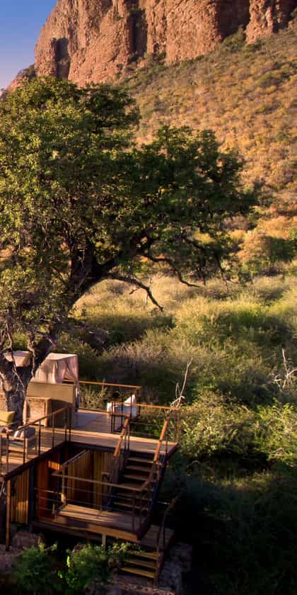 Thabametsi Treehouse, Waterberg | Timbuktu Travel