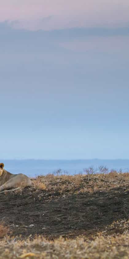 Chyulu Club, Amboseli & Chyulu Hills | Timbuktu Travel