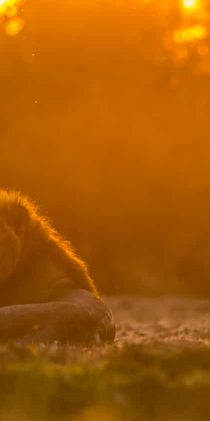 Kafue National Park