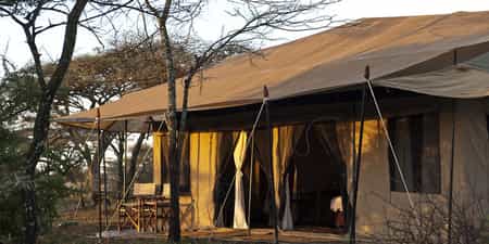 View of the tent from outside