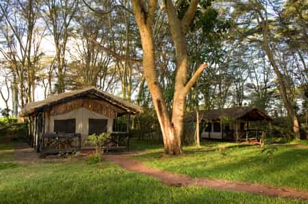 Tented Rooms