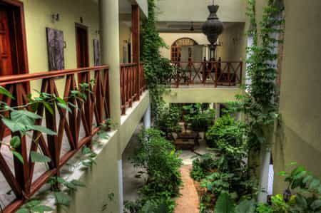 Seyyida rooms are built around the courtyard to overlook the hanging garden.