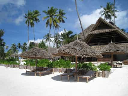 Sun beds and umbrellas at guests disposal