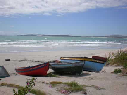 Fishing boats