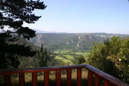 King's Gift - View