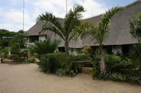 The swimming pool