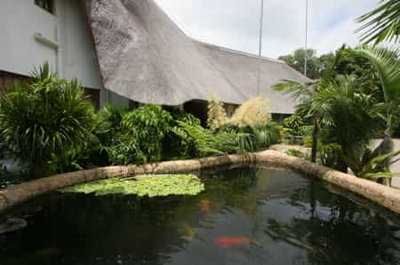African Ambience