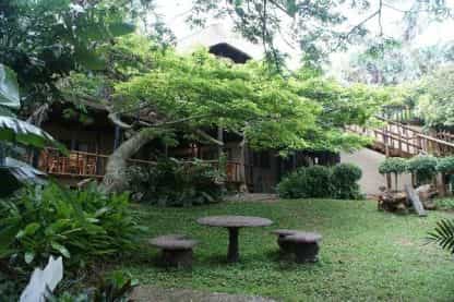Ndiza Garden