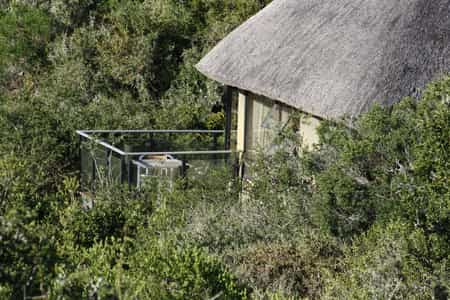 The chalet totally submerged in the bush offers total privacy