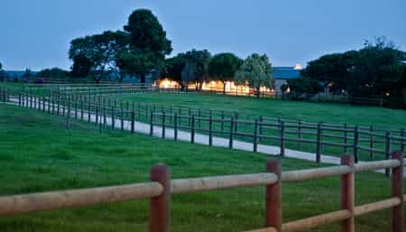 View from paddocks