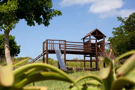 Jungle gym