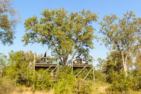 Raised tented decks for sleeping out under the stars. An arranged activity for 1 night from Plains Camp