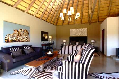Zebra suite 