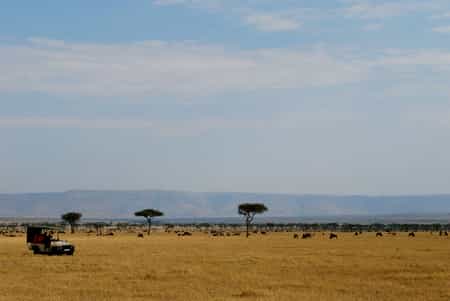 Alone on the plains of the Lamai