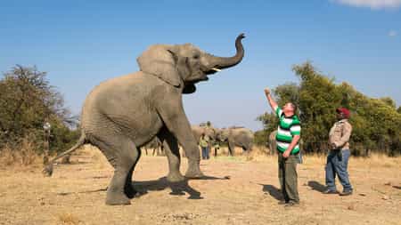 With myriad activities from which to choose Protea Zebula Lodge has something for everyone. It really depends on how you define the perfect holiday. Our role is to provide you with plenty of leisure opportunities so that you really are spoilt for choice. We offer the following: Game Drives, Game Walks, Elephant Interactions & Safaris, Quad Safaris, Horseback Safaris,Archery, Volleyball, Mountain Bikes, Paintball, Lion, Tiger & Cheetah Interactions, Cheetah Run, Teambuilding, Family Activities, Clay Target Shooting, Fishing, Tennis & Squash Courts, Putt putt.