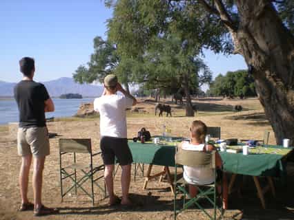 Elephants coming through camp down to the Zambezi for an afternoon drink