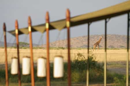 The mobile camp can be moved to any of the premier destinations throughout Kenya.