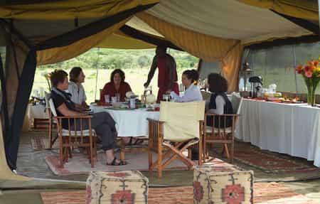 Acting as your base while you explore key wildlife areas.