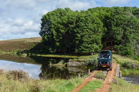 Nyika