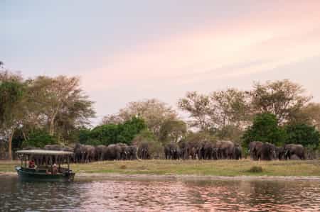 Boat Safari
