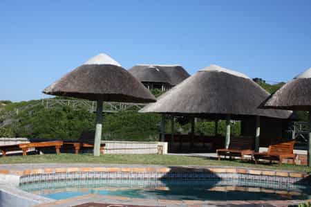 Swimming Pool by the Bar 